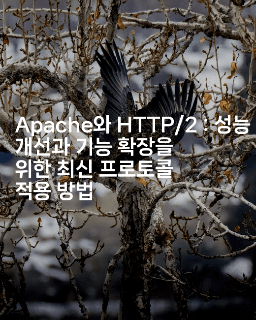 Apache와 HTTP/2 : 성능 개선과 기능 확장을 위한 최신 프로토콜 적용 방법
2-코드꼬마