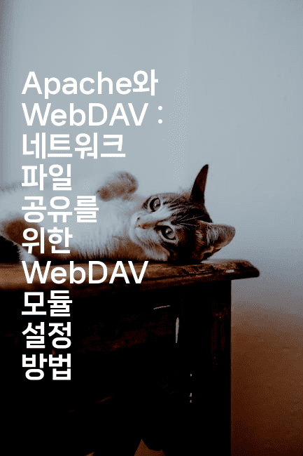 Apache와 WebDAV : 네트워크 파일 공유를 위한 WebDAV 모듈 설정 방법
2-코드꼬마