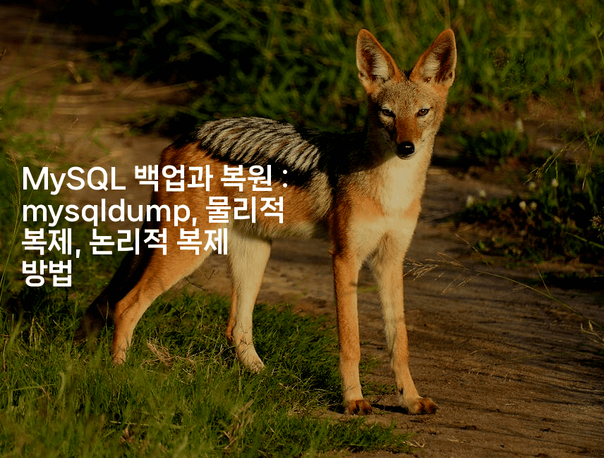 MySQL 백업과 복원 : mysqldump, 물리적 복제, 논리적 복제 방법
2-코드꼬마