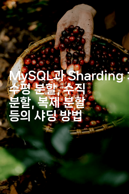 MySQL과 Sharding : 수평 분할, 수직 분할, 복제 분할 등의 샤딩 방법
-코드꼬마