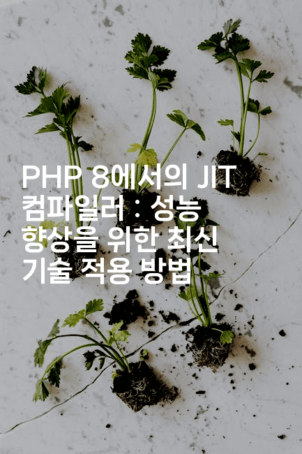 PHP 8에서의 JIT 컴파일러 : 성능 향상을 위한 최신 기술 적용 방법
2-코드꼬마