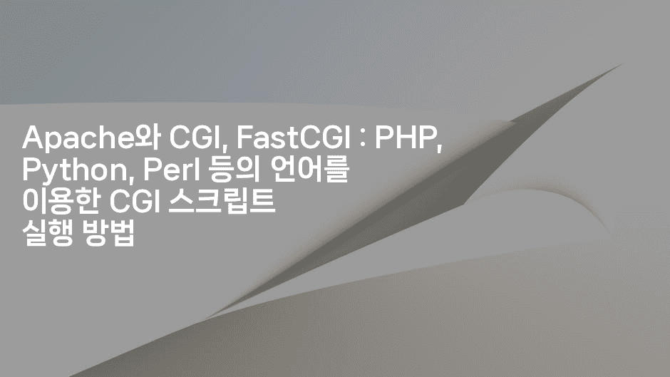 Apache와 CGI, FastCGI : PHP, Python, Perl 등의 언어를 이용한 CGI 스크립트 실행 방법
2-코드꼬마