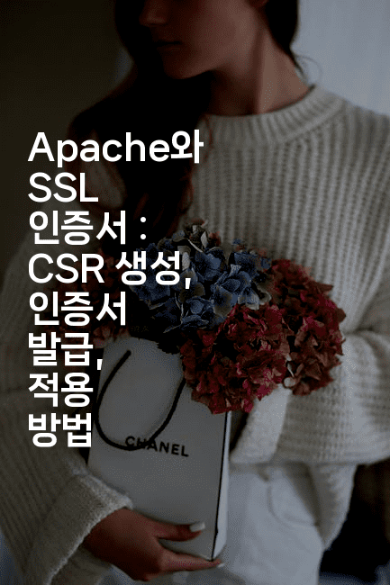 Apache와 SSL 인증서 : CSR 생성, 인증서 발급, 적용 방법
2-코드꼬마
