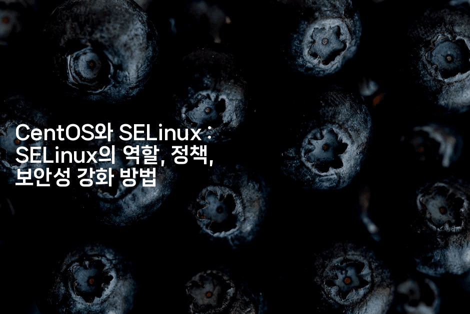 CentOS와 SELinux : SELinux의 역할, 정책, 보안성 강화 방법
2-코드꼬마