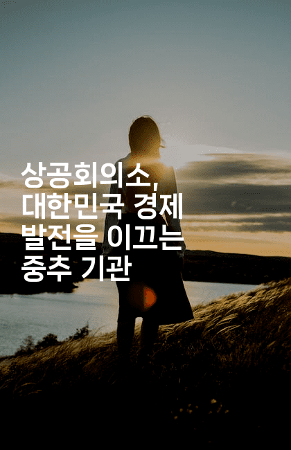 상공회의소, 대한민국 경제 발전을 이끄는 중추 기관2-코드꼬마