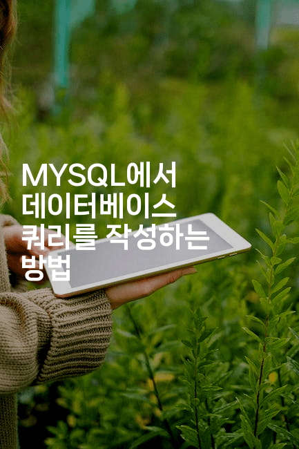 MYSQL에서 데이터베이스 쿼리를 작성하는 방법2-코드꼬마
