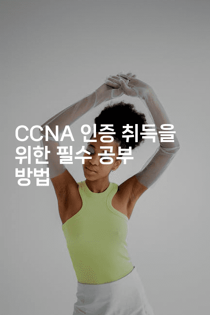 CCNA 인증 취득을 위한 필수 공부 방법2-코드꼬마