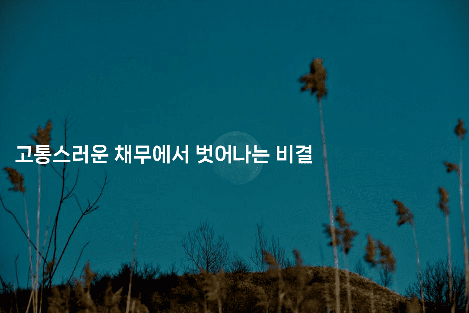 고통스러운 채무에서 벗어나는 비결-코드꼬마