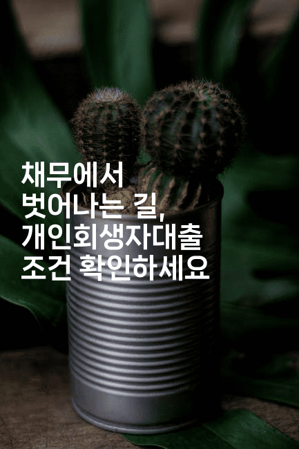 채무에서 벗어나는 길, 개인회생자대출 조건 확인하세요-코드꼬마