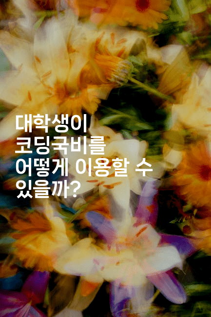 대학생이 코딩국비를 어떻게 이용할 수 있을까? -코드꼬마