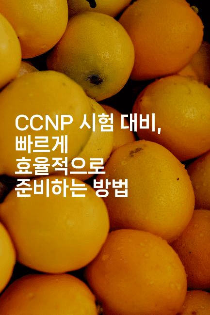 CCNP 시험 대비, 빠르게 효율적으로 준비하는 방법2-코드꼬마