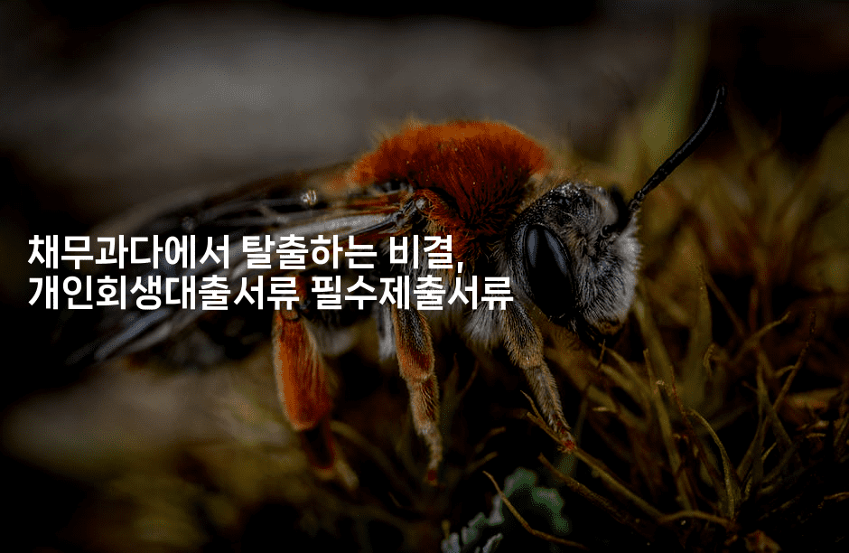 채무과다에서 탈출하는 비결, 개인회생대출서류 필수제출서류-코드꼬마